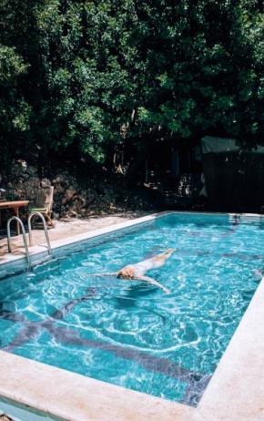 Hotels in Amirim